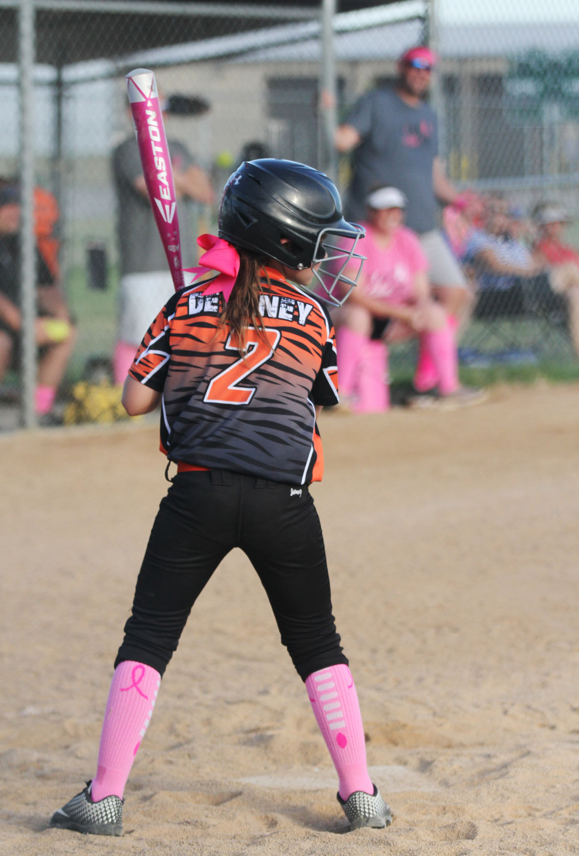 p06-26-20SMFpinkout5.jpg